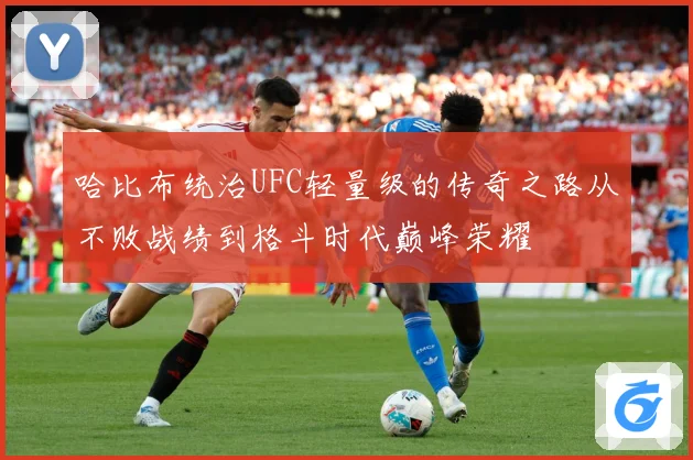 哈比布统治UFC轻量级的传奇之路从不败战绩到格斗时代巅峰荣耀