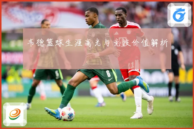 韦德篮球生涯高光与竞技价值解析