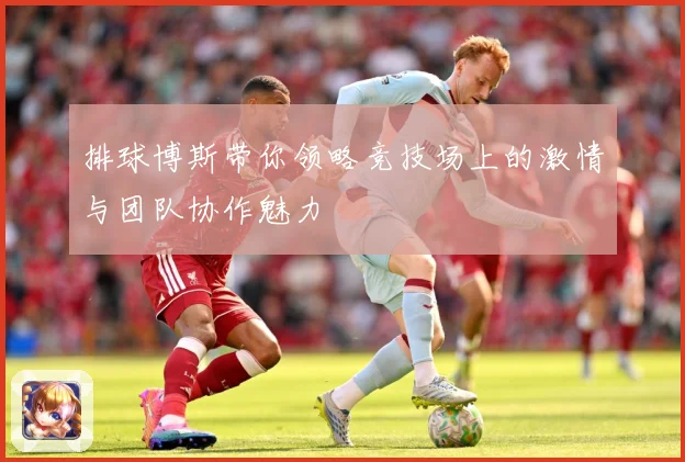 排球博斯带你领略竞技场上的激情与团队协作魅力