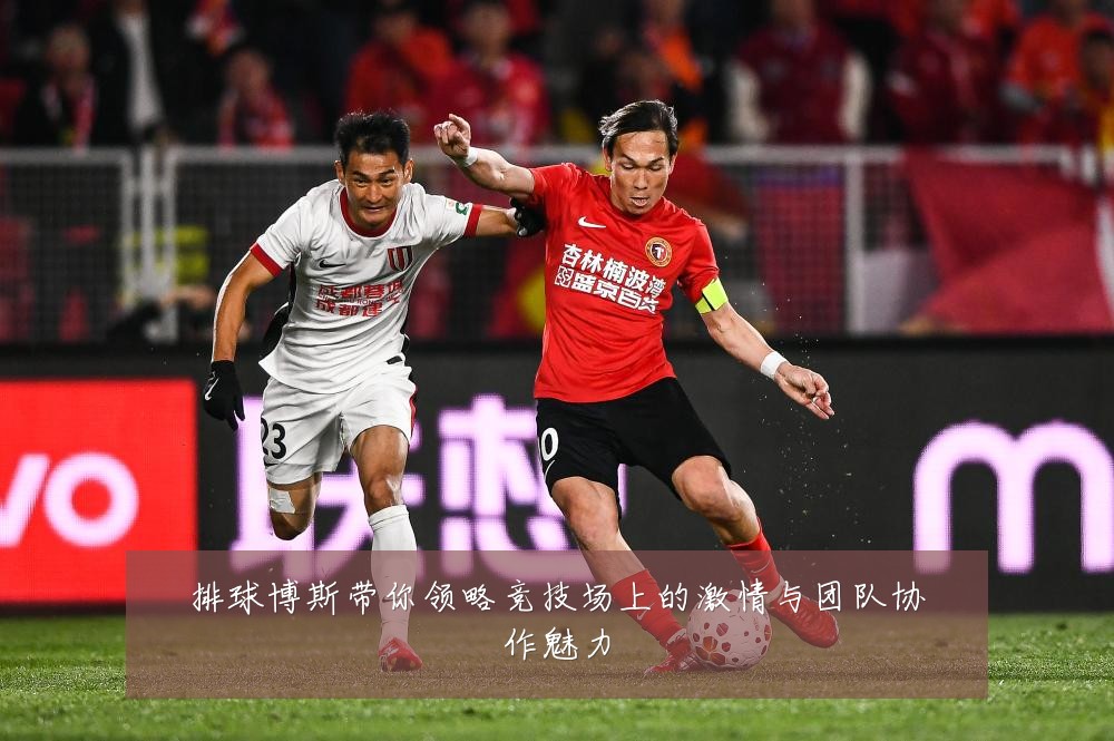 排球博斯带你领略竞技场上的激情与团队协作魅力