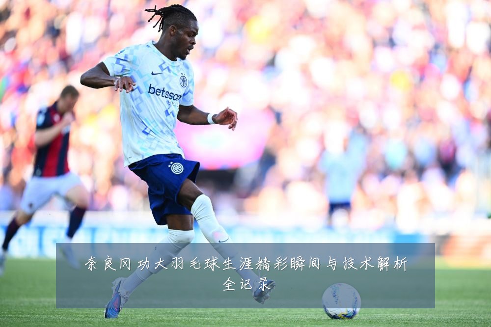 奈良冈功大羽毛球生涯精彩瞬间与技术解析全记录