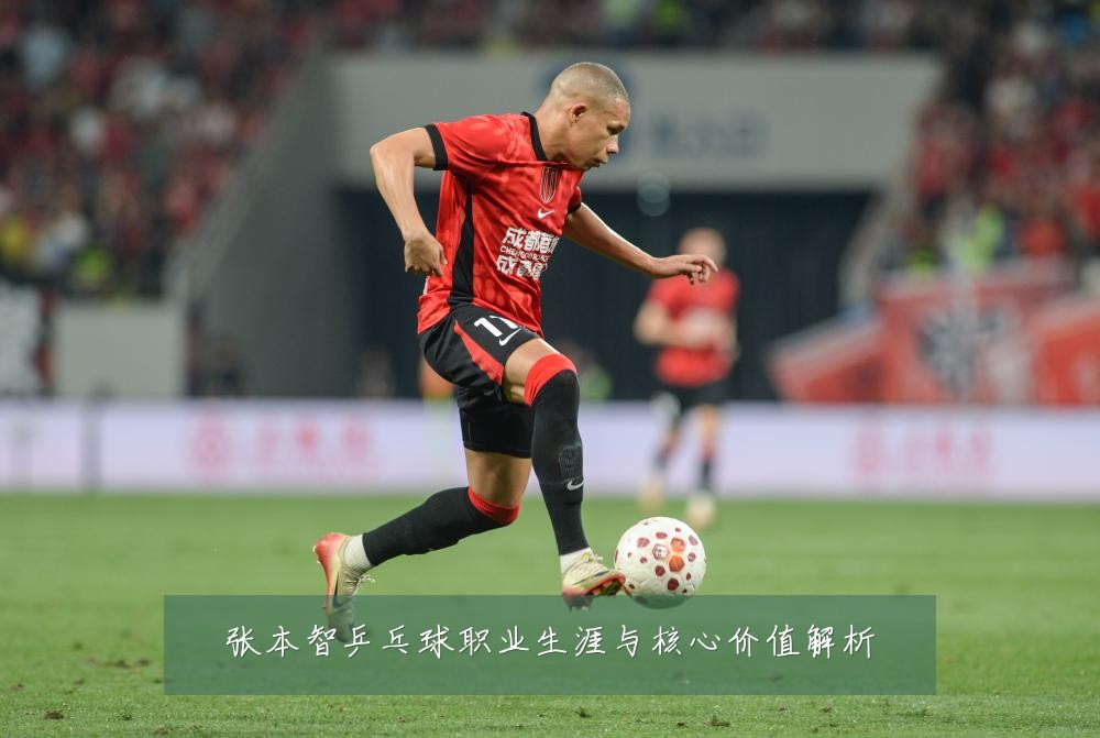 张本智乒乓球职业生涯与核心价值解析
